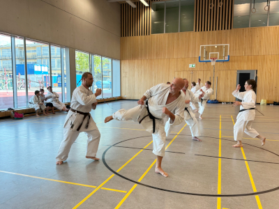 Karate Seminar 2023 in Deutschland_9